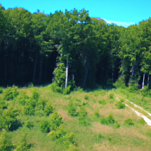 Normative e Leggi sull'Amianto: Una Guida Completa